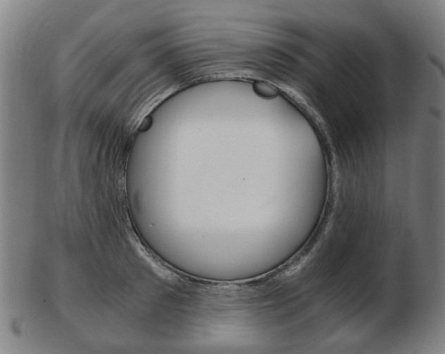 X0000103480897200809120925