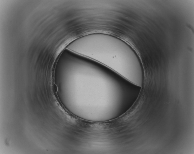 X0000103480898200809120925