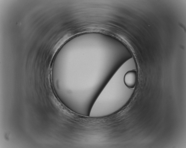 X0000103480899200809120925