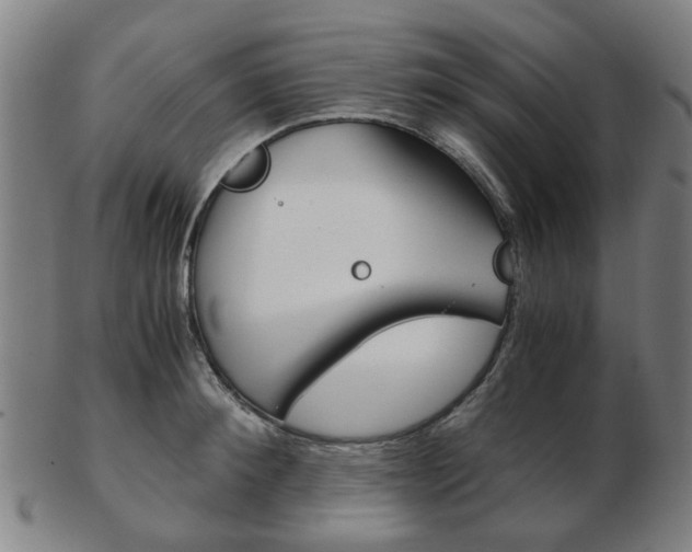 X0000103480900200809120925