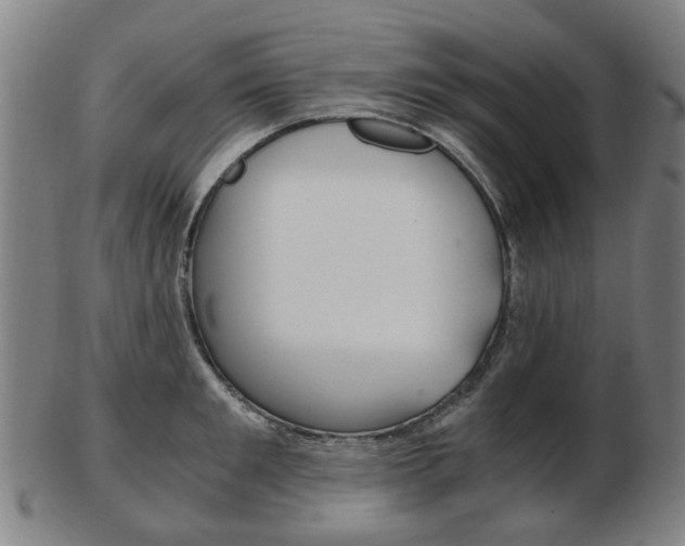 X0000103480901200809120925