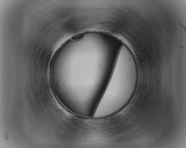 X0000103480902200809120925