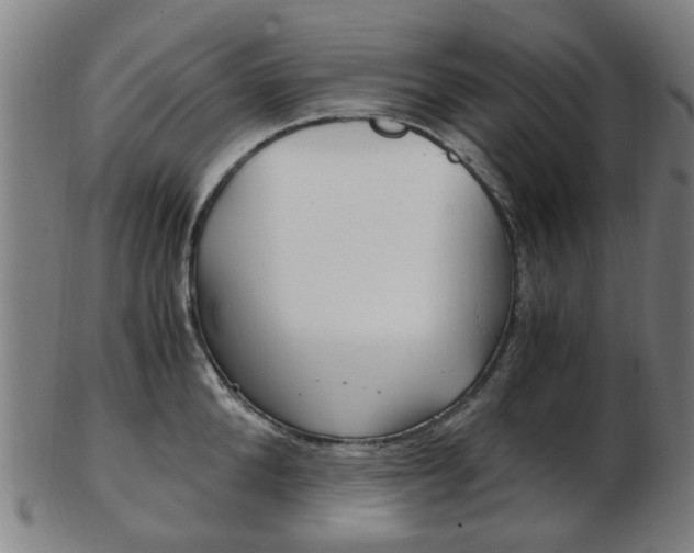 X0000103480904200809120925