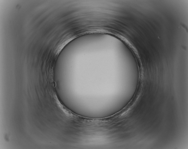 X0000103480905200809120925