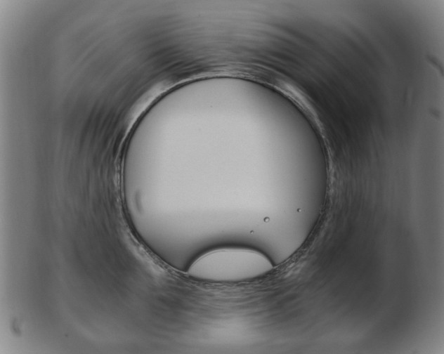 X0000103480907200809120925