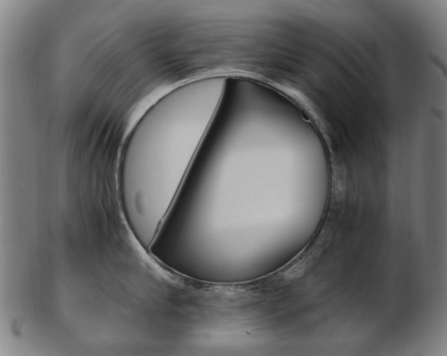 X0000103480910200809120925