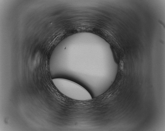 X0000103480915200809120924