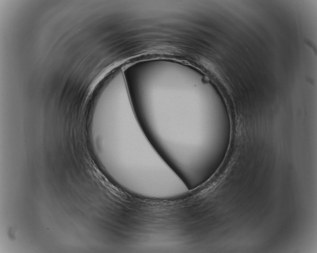 X0000103480923200809120924