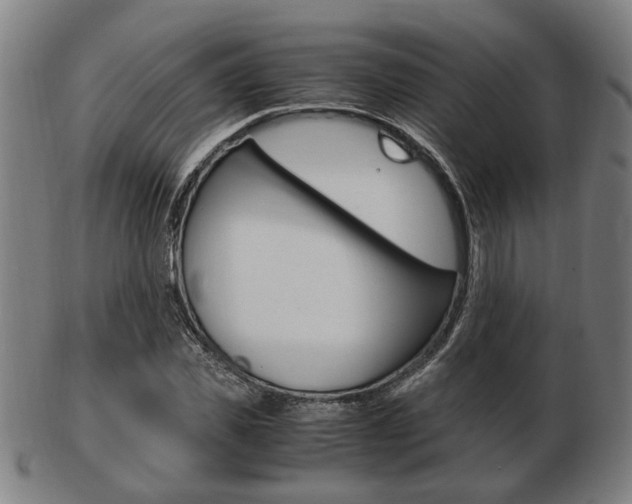 X0000103480925200809120924