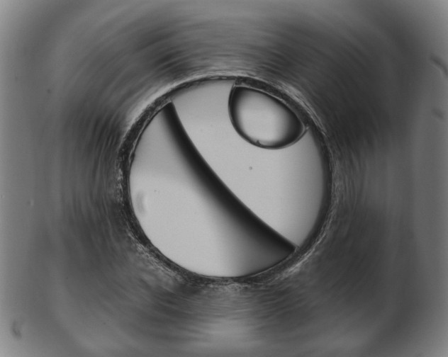X0000103480926200809120924