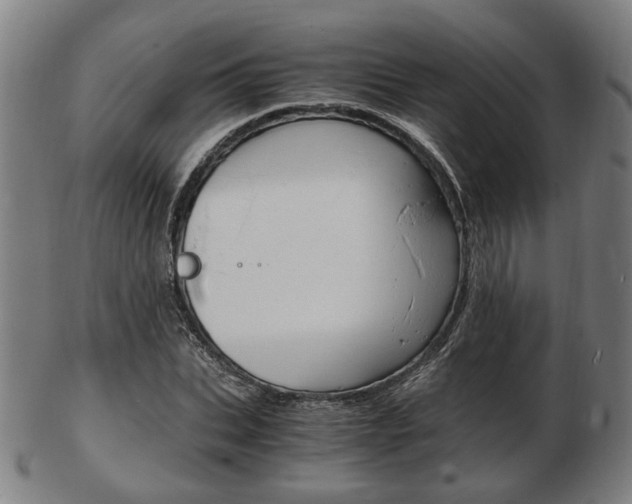X0000103480927200809120925