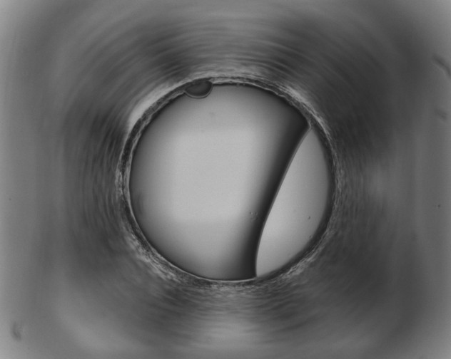 X0000103480928200809120925