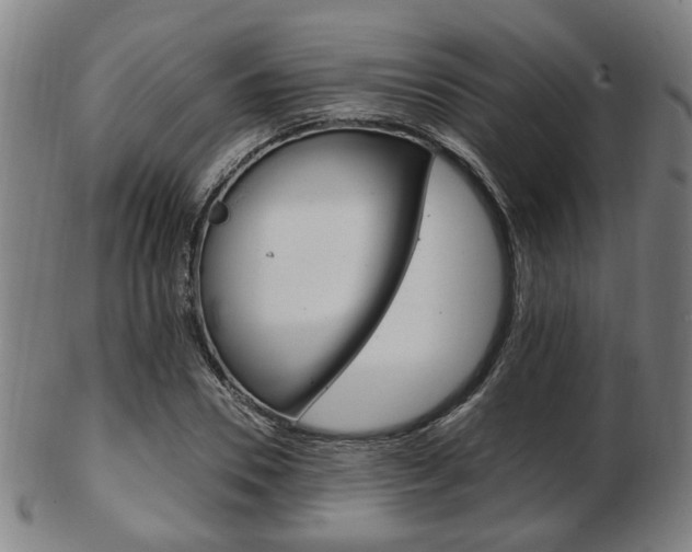 X0000103480930200809120925