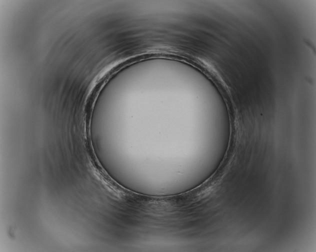 X0000103480931200809120925