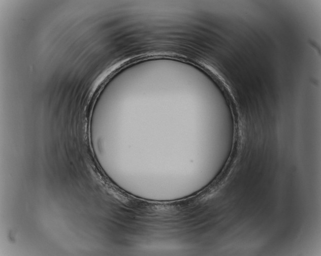 X0000103480933200809120925