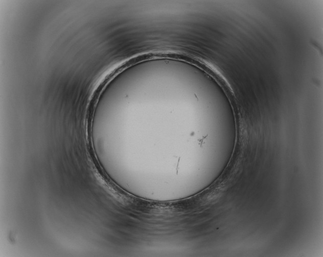 X0000103480935200809120925