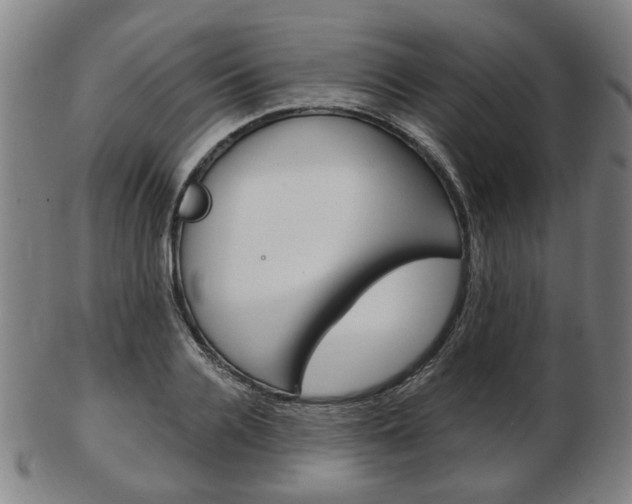 X0000103480936200809120925