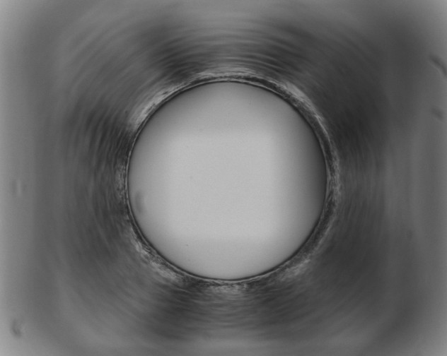 X0000103480937200809120925