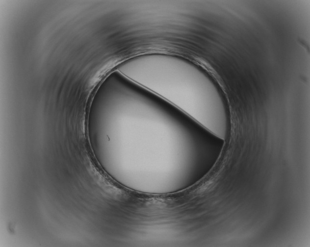 X0000103480938200809120925