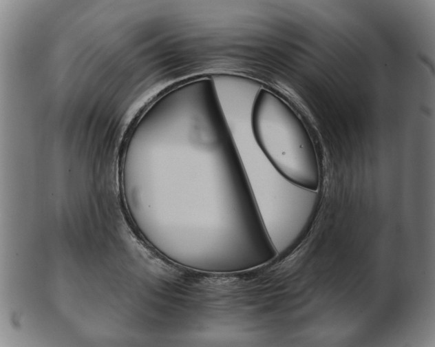 X0000103480939200809120925