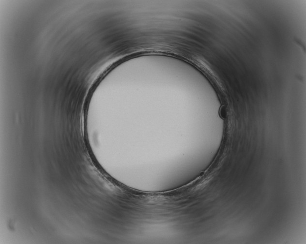 X0000103480940200809120925