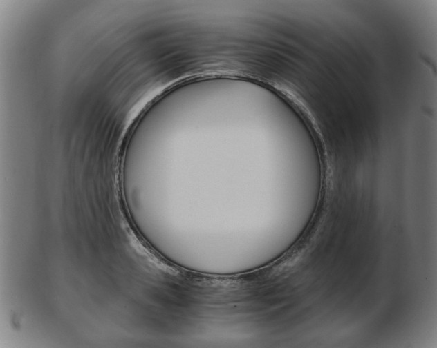 X0000103480941200809120925