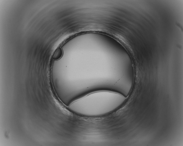 X0000103480942200809120925