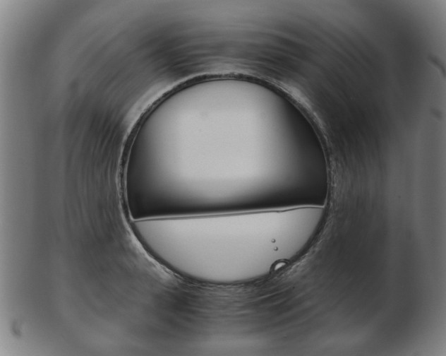 X0000103480943200809120925