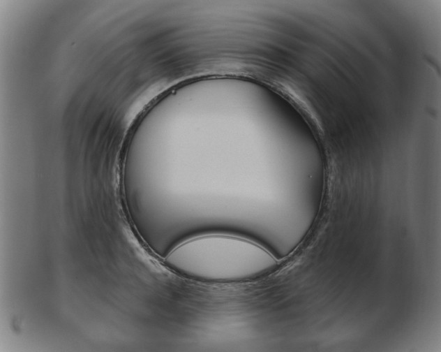 X0000103480944200809120925