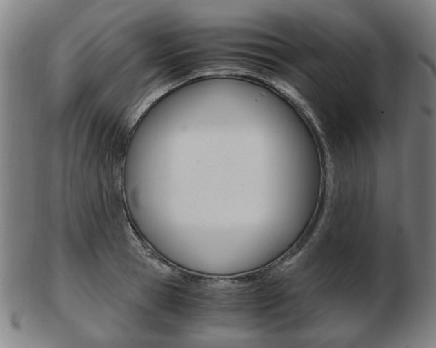 X0000103480945200809120925