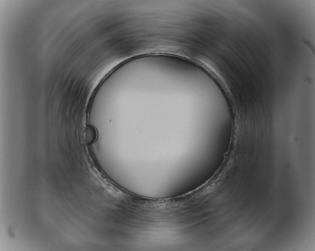 X0000103480948200809120925
