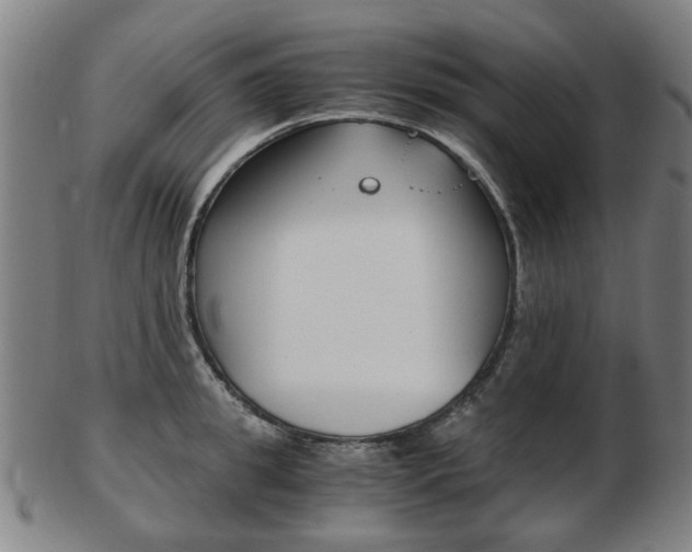 X0000103480949200809120925