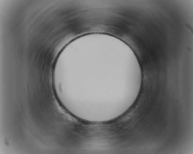 X0000103480950200809120925