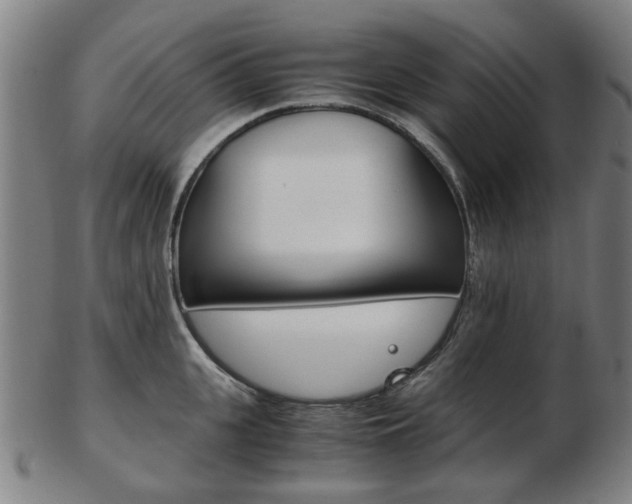 X0000103480951200809120925