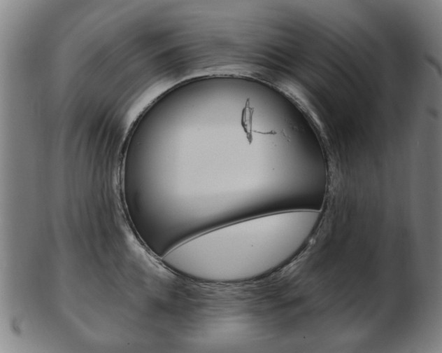 X0000103480952200809120925