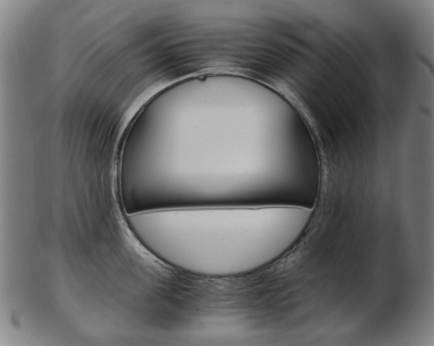 X0000103480955200809120925