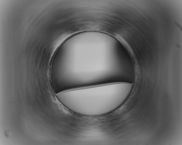 X0000103480956200809120925