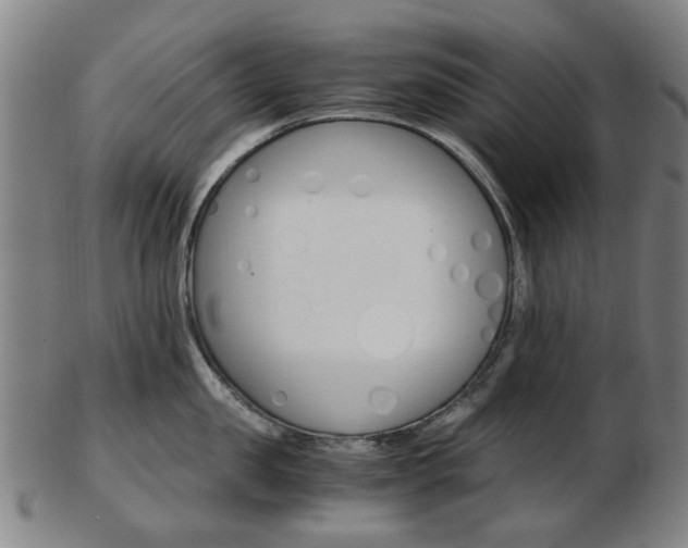 X0000103480957200809120925