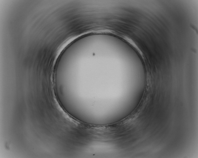 X0000103480959200809120925