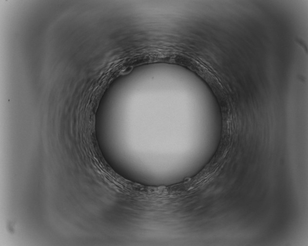 X0000103480961200809120924