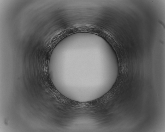 X0000103480966200809120924
