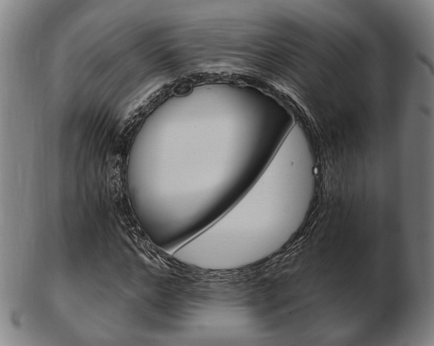 X0000103480968200809120924