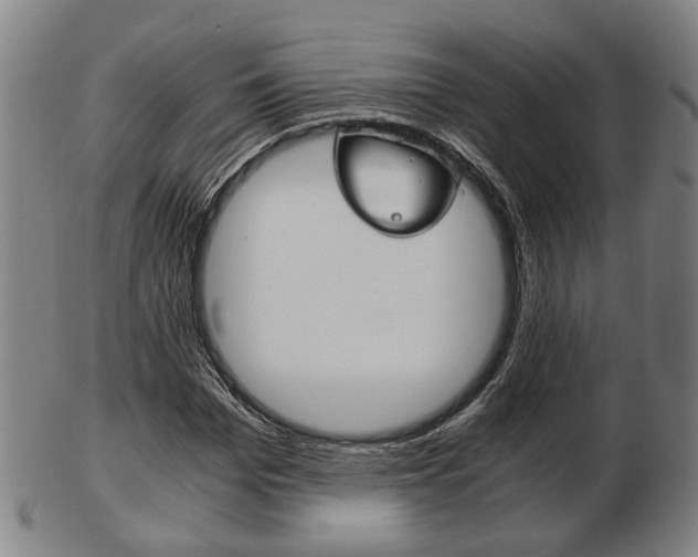 X0000103480969200809120924