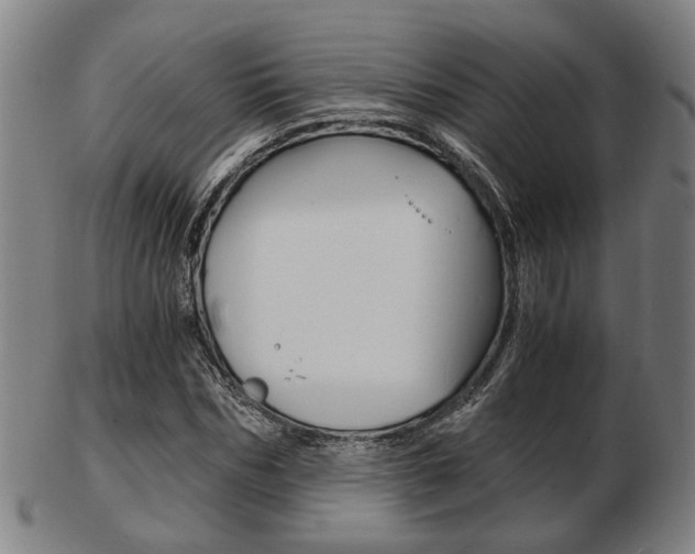 X0000103480970200809120924