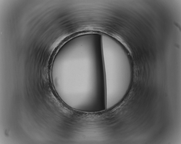 X0000103480972200809120924