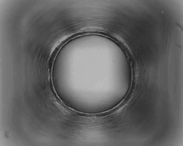 X0000103480973200809120924