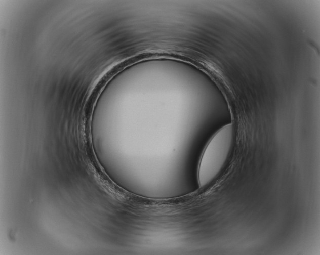 X0000103480976200809120924