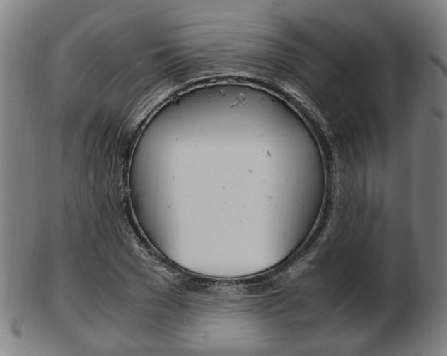 X0000103480977200809120924
