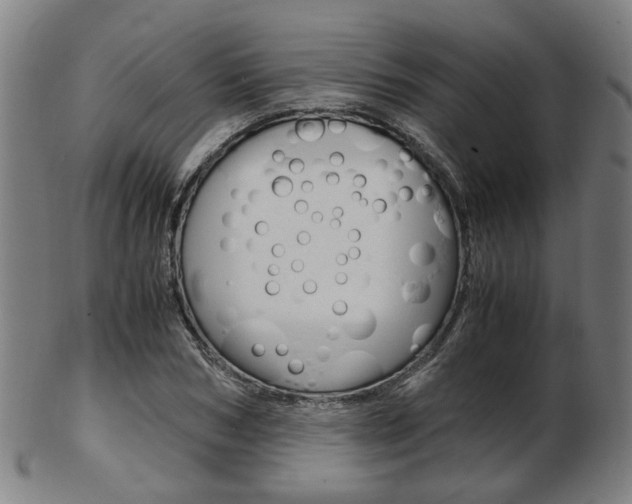 X0000103480978200809120924