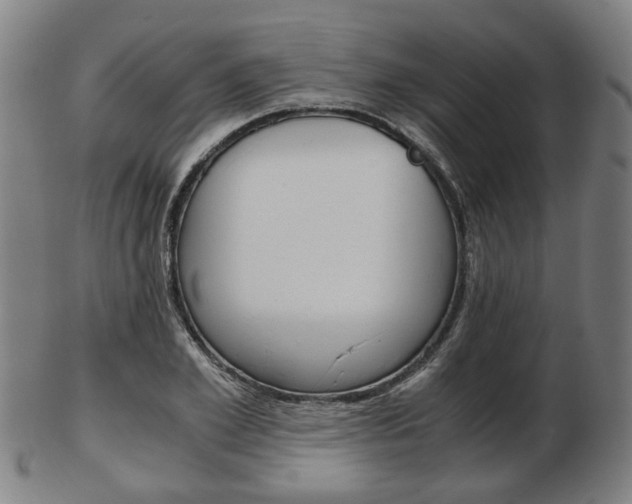 X0000103480981200809120924